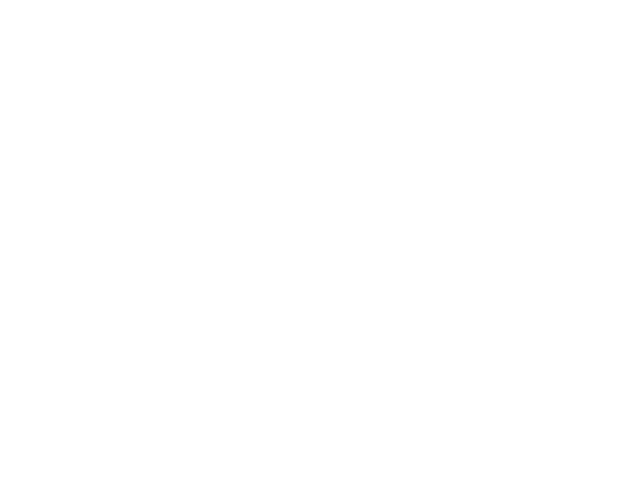 University of Texas at Dallas